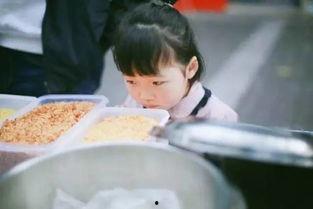 淘淘妈吃瓜,揭秘娱乐圈那些不为人知的幕后故事