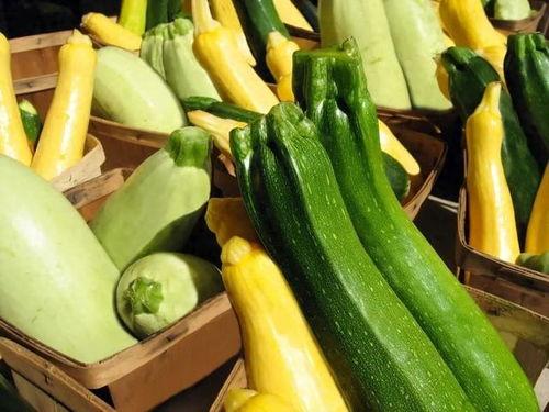 贵阳幼专吃瓜,吃瓜群众揭秘校园热点事件