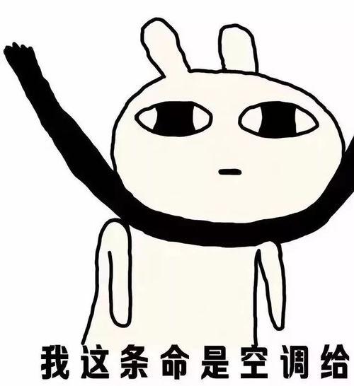 带你吃瓜 天很热,带你吃瓜解暑趣事