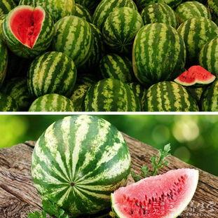 咳嗽吃瓜会加重吗,加重症状的真相揭秘