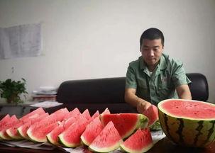 吃瓜的人真幸福,见证时代变迁的幸福旁观者