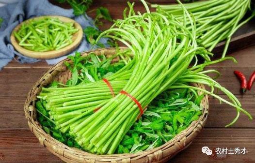 蒿瓜怎么炒着吃,家常美味轻松学