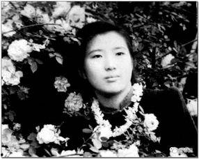 吃瓜陈伯,揭秘娱乐圈背后的那些事儿