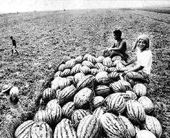 西安同城吃瓜,揭秘本地热门事件背后的故事